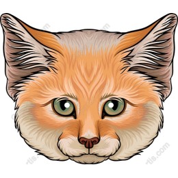 Charming Cat Head