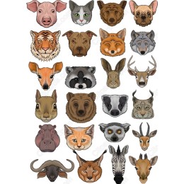 Wildlife Clipart Collection - 36 Animal Face