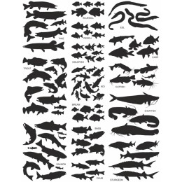 Aquatic Lifes: Diverse Fish Collection