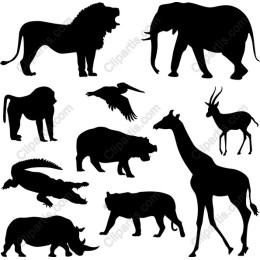 African Wildlifes Collection