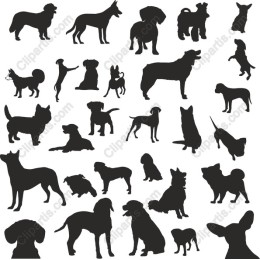 Dog Collection
