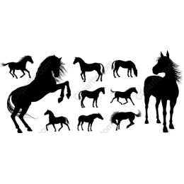 Equine Elegance: Horse Collection