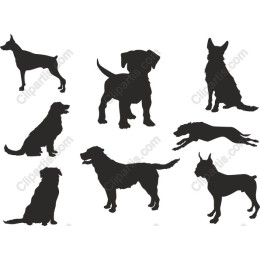 Dog Collection