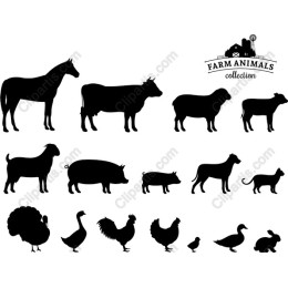 Farm Animals Collection