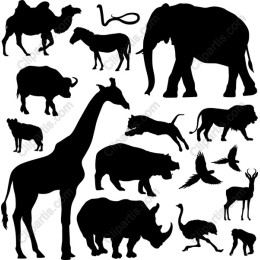 Animals Collection