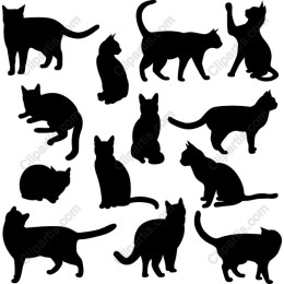 Cats Pack