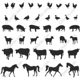 Farm Animals Set