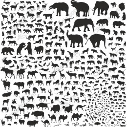Premium Animals Collection