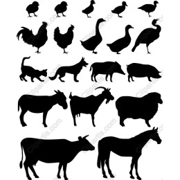 Farm Animals Collection