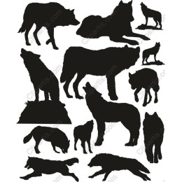 Wolfs Collection