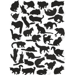 Cats Collection
