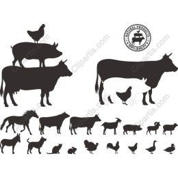 Farm Animals Collection