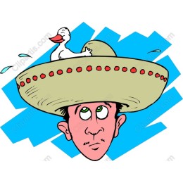 Whimsical Sombrero Duck