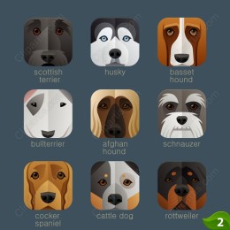 Dog Breeds Portraits Collection