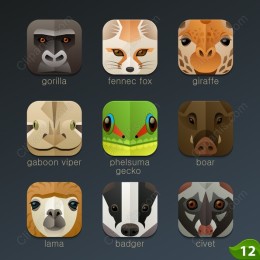Wildlife Icon Collection