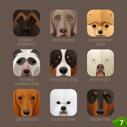 Dog Breeds Collection