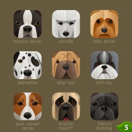 Charming Canine Faces Set