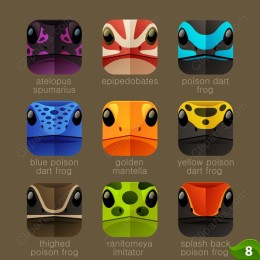 Colorful Poison Dart Frog Collection