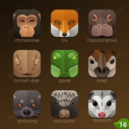Wildlife Icons Collection