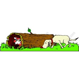 Curious Dog and Raccoon in a Log
