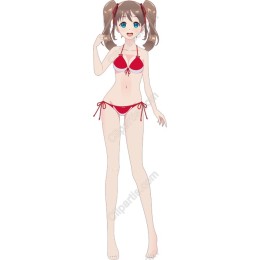 Vibrant Red Bikini