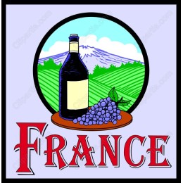 French Wine Landscape