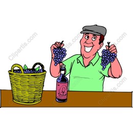 Cheerful Vintner Grapes