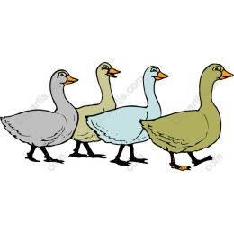 Quirky Duck Parade