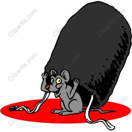 Playful Mouse Trap