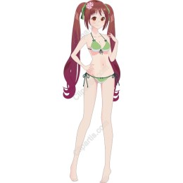Vibrant Summer Girl in Bikini