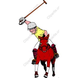 Energetic Polo Player and Horse