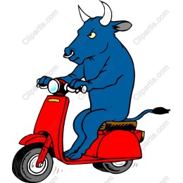 Blue Bull on Scooter