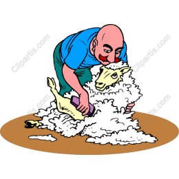 Sheep Shearing Delight: Charming Farmer