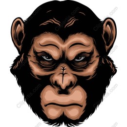 Majestic Primate - Powerful Monkey Face
