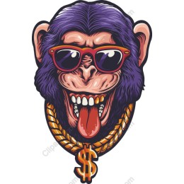 Cool Monkey