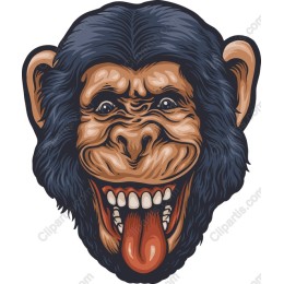 Playful Monkey Head