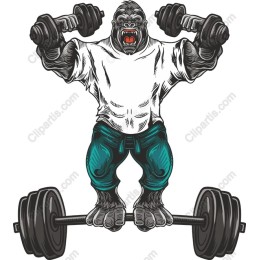 Muscular Gorilla Lifting Weights