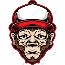 Fierce Urban Monkey