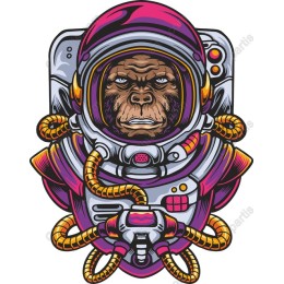 Astronaut Gorilla Adventure