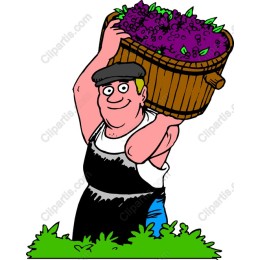 Cheerful Grape Farmer