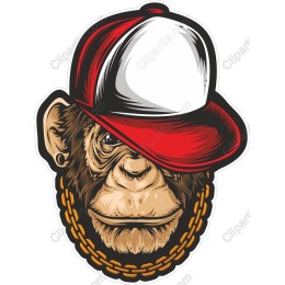 Urban Monkey