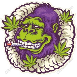Funky Gorilla Cannabis