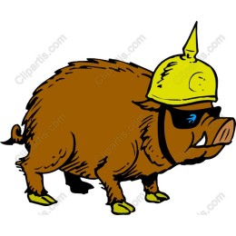 Playful Wild Boar