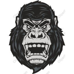 Fierce Gorilla Head