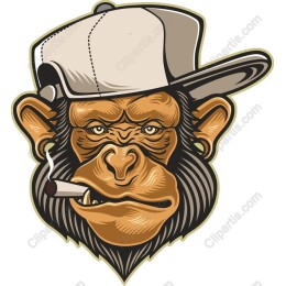 Edgy Monkey