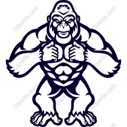 Muscular Gorilla