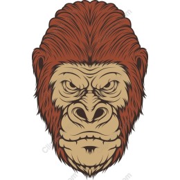 Fierce Gorilla