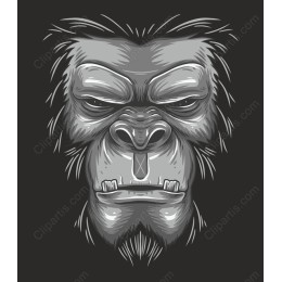 Gorilla Face