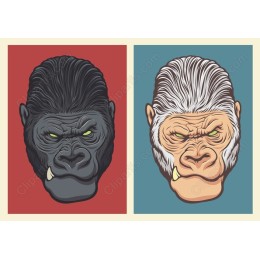 Dual-Gorilla