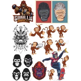 Gorilla & Monkey Collection